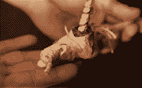 Watch a Weed Artist Sculpt a Beautiful Unicorn Joint