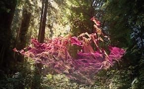 Seeing Digitally Manipulated Landscapes Out in the “Wild"