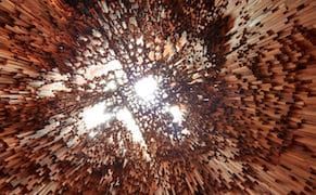 A Sculptural Forest Made from 10,000 Species of Trees