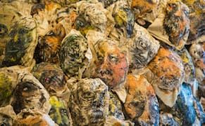 For a World Losing Its Head, an Artist Proffers Shamanism as a Solution