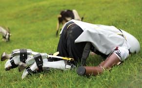 Sick of Being Human, a Designer Transformed Himself into a Goat