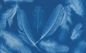 A History of Photography in Which the Camera Is Absent