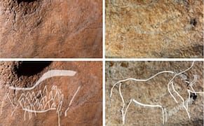 Trove of 14,000-Year-Old Animal Paintings Found in Spanish Cave