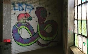 Mural in Abandoned Philly Building Becomes Wall Art for Future Condo