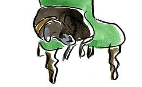 My Favorite Art Critic