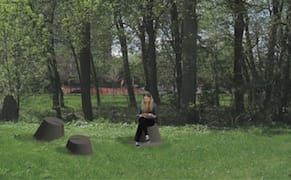 Montrealers Stumped After City Commissions Pricey Tree Sculptures