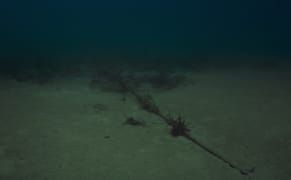 The Internet’s Supposed Invisibility and the Fantasies It Fuels