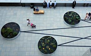 Wind Turbines Sustain an Aquatic Garden on a Whitney Museum Terrace