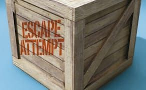 A Novel Written with the Skeptical Mind of an Art Critic