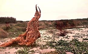 An Artist Couple from Bangladesh Shares Their Deeply Political Work