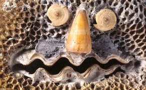 In Switzerland, Art Brut Goes Back to Its Roots