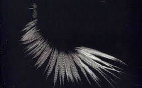 Foreign Sounds or Sounds Foreign