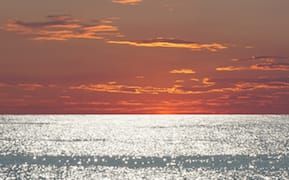 Qalandiya International Returns with Over 100 Artists Exploring Questions of Refuge