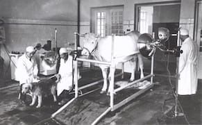 A History of Russia in a Massive Photo Archive