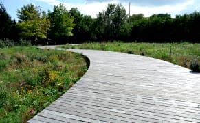 An Overgrown Naval Cemetery Is Reborn as a Park