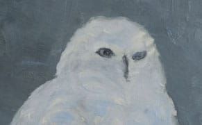 Roger Ricco, Artist, Has Something to Show You