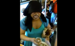 NYPD Arrests Performance Artist Who Threw Crickets and Worms in Subway Car