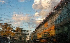 SVA Continuing Education Fall 2016 Information Sessions