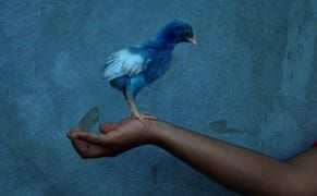 Photographers Win Grant for Documenting Underrepresented Communities on Instagram