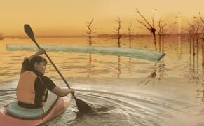 A Sinking Cherry Grove Portends a Future of Rising Tides