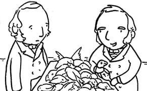 The Story of Charles Darwin’s Artist