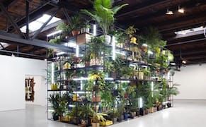 A Weighty Rashid Johnson Show that Doesn't Take Off