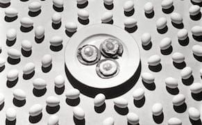 Trying Famous Photographers’ Recipes, from Avedon’s Pot Roast to Adams’s Eggs