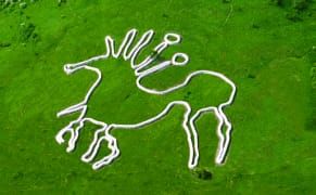 The Contemporary Geoglyphs of a Globe-Spanning Art Project