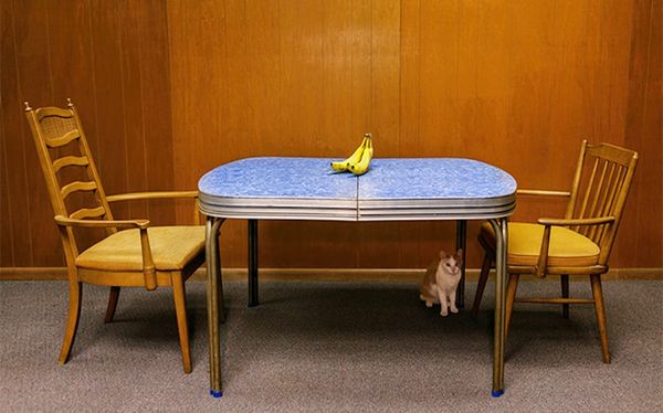 Apply Now for VCU’s Photography + Film MFA, Offering Funding to Qualified Students