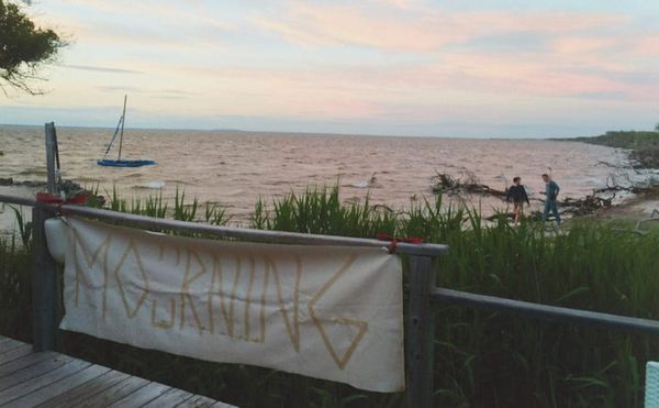 An Ecofeminist Artist's Tiny Revolutions