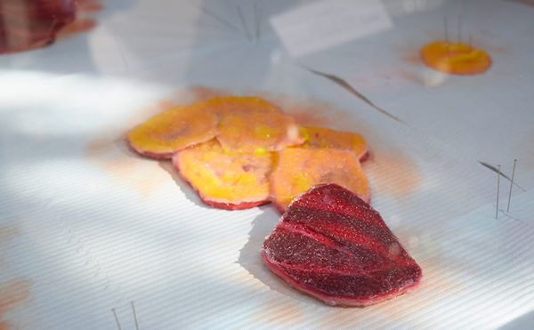 Doreen Garner, "Flora: Viscera" (2016, detail)