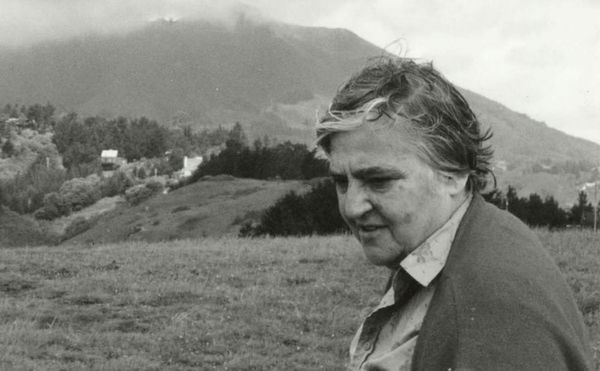 Etel Adnan: Philosophy at Night