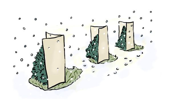 Highlights of My Life as an MFA Student in Vermont