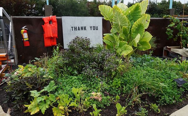 A Floating, Urban Forest Where the Food Is Free