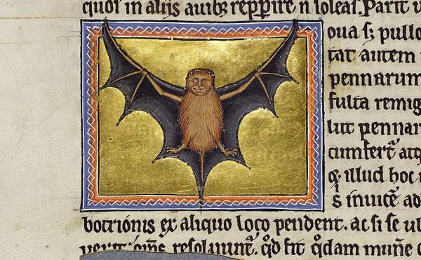 A Lavishly Illuminated Medieval Bestiary Goes Online