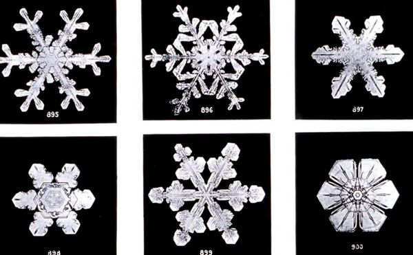 The First Photographs of Snowflakes
