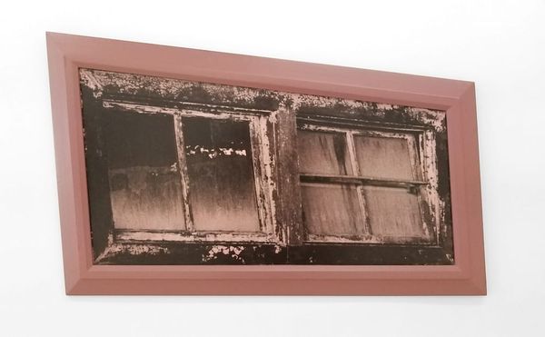 A Breach in the Membrane: Gwenn Thomas