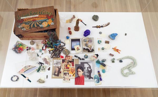 Modeling Artistic Resistance in the Era of Trump