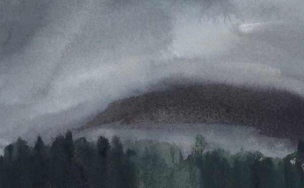 Post-Election Weather Report