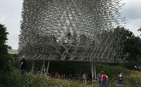 A Multisensory Installation Inspired by the Humble Honeybee