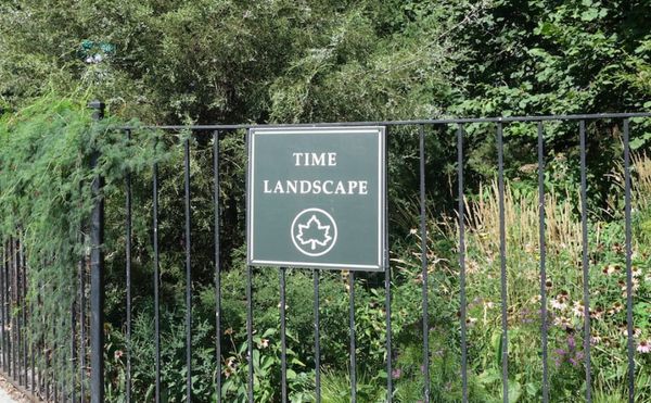 The Origins of Manhattan’s Tiny Plot of Precolonial Terrain