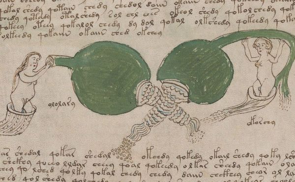 Facsimile of the Voynich Manuscript Now Available to Citizen Cryptographers