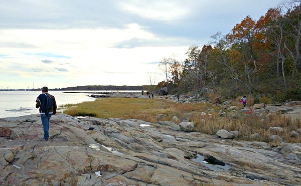 An Artist's Guide to Wandering the Overlooked Edges of New York City