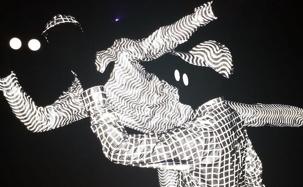 Immersive Art Installations Light Up Houston's Day for Night Festival