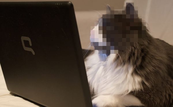 How to Become Anonymous Online