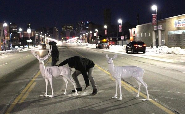 Setting Aluminum Animals Loose on the Streets of Detroit