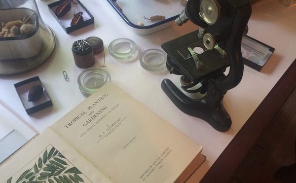 Mark Dion Reimagines a Pioneering Botanist's Lab