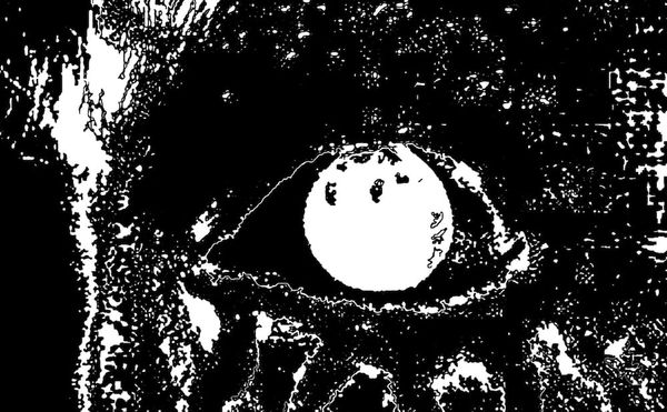 Love It to Death: My Year in Music