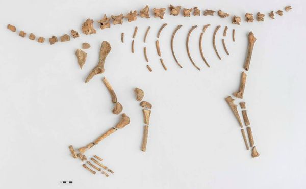 A Visit to New York City's New Subterranean Archaeological Repository