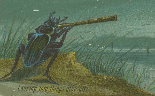 Celebrate New Year's with Vintage Cards of Lucky Pigs and Drunken Butterflies